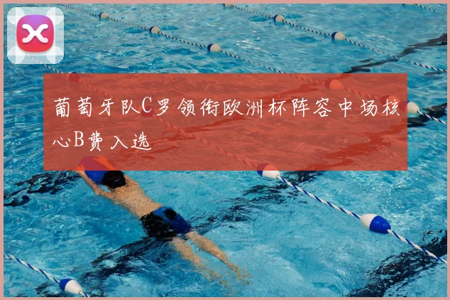 葡萄牙队C罗领衔欧洲杯阵容中场核心B费入选