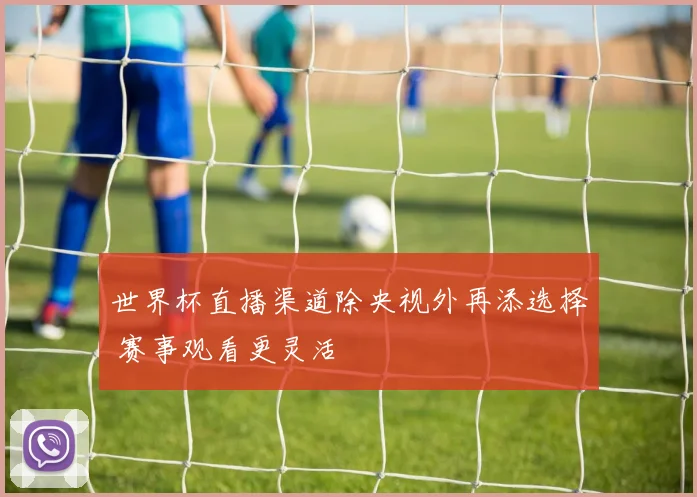 世界杯直播渠道除央视外再添选择 赛事观看更灵活