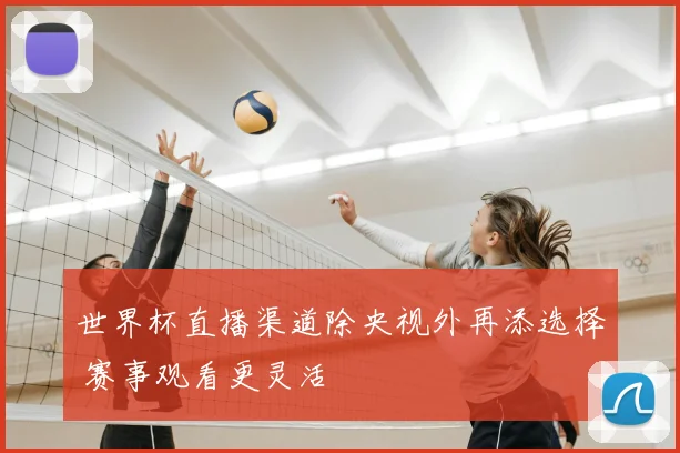 世界杯直播渠道除央视外再添选择 赛事观看更灵活