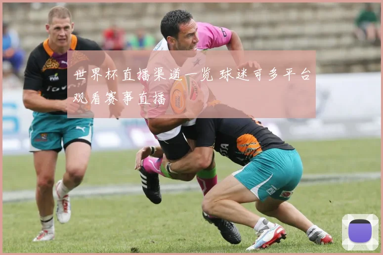 世界杯直播渠道一览 球迷可多平台观看赛事直播