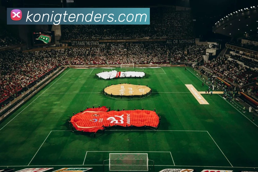 大阳城集团资料大全服务体系